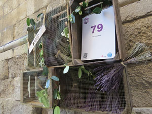 Temps de Flors 2015. Les escales de la Catedral i voltants