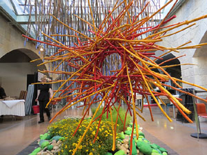 Temps de Flors 2015. Les escales de la Catedral i voltants