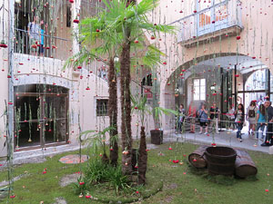 Temps de Flors 2015. Les escales de la Catedral i voltants