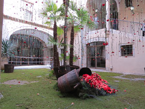 Temps de Flors 2015. Les escales de la Catedral i voltants