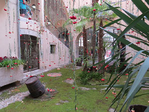 Temps de Flors 2015. Les escales de la Catedral i voltants