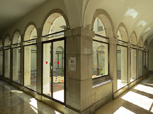 Temps de Flors 2015. Palaus, patis i espais del carrer Ciutadan