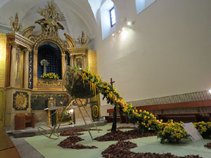 Temps de Flors 2015. Palaus, patis i espais del carrer Ciutadan