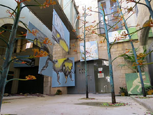 Temps de Flors 2015. Palaus, patis i espais del carrer Ciutadan