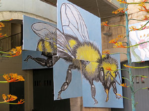 Temps de Flors 2015. Palaus, patis i espais del carrer Ciutadan