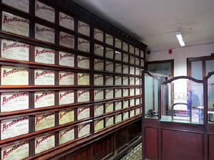 Temps de Flors 2015. Palaus, patis i espais del carrer Ciutadan