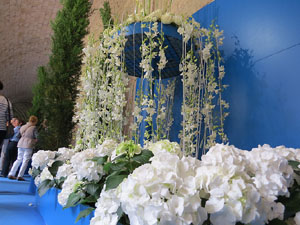 Temps de Flors 2015. Decoraci&oacute; floral del claustre de la Catedral