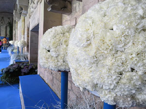 Temps de Flors 2015. Decoraci&oacute; floral del claustre de la Catedral