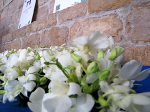 Temps de Flors 2015. Decoraci&oacute; floral del claustre de la Catedral