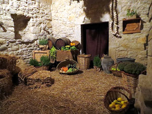 Temps de Flors 2015. Casa Laporta - C&uacute;ndaro