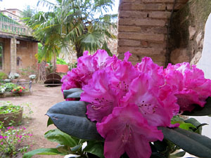 Temps de Flors 2015. Casa Laporta - C&uacute;ndaro
