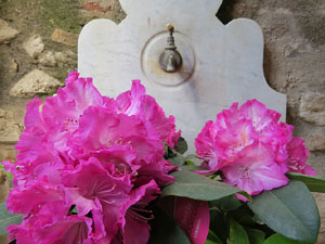 Temps de Flors 2015. Casa Laporta - C&uacute;ndaro