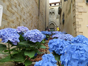 Temps de Flors 2015. Escales de Sant Feliu