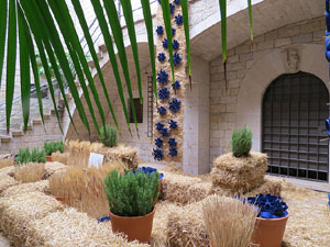 Temps de Flors 2015. Caixafòrum Girona - Fontana d'Or