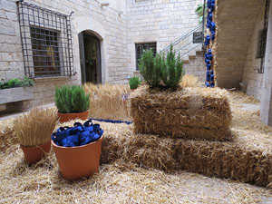 Temps de Flors 2015. Caixafòrum Girona - Fontana d'Or