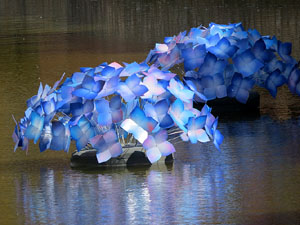 Temps de Flors 2015. La preparació
