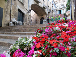 Temps de Flors 2015. La preparació