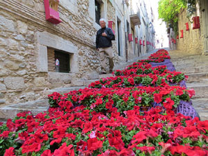 Temps de Flors 2015. La preparació