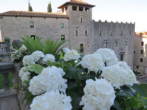 Temps de Flors 2015. La preparació