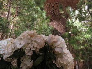 Temps de Flors 2015. La preparació