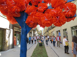 Temps de Flors 2015. El Mercadal. Pla&ccedil;a de Santa Susanna, carrer Nou i carrer de Santa Clara