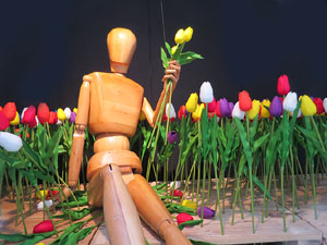 Temps de Flors 2015. El Mercadal. Pla&ccedil;a de Santa Susanna, carrer Nou i carrer de Santa Clara