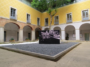 Temps de Flors 2015. Església dels Dolors i Centre Cultural La Mercè