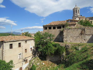 Temps de Flors 2015. Mirador del carrer de les Dones