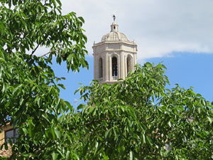 Temps de Flors 2015. Mirador del carrer de les Dones