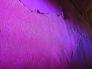 Temps de Flors 2015. Antic Cinema Modern