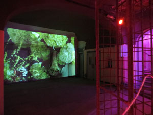 Temps de Flors 2015. Antic Cinema Modern