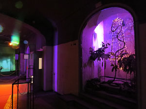 Temps de Flors 2015. Antic Cinema Modern