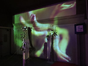 Temps de Flors 2015. Antic Cinema Modern