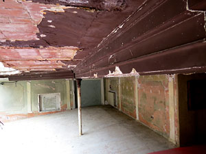 Temps de Flors 2015. Antic Cinema Modern