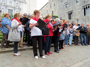 Temps de Flors 2015. M&uacute;sica i Flors. Actuacions musicals a diversos espais