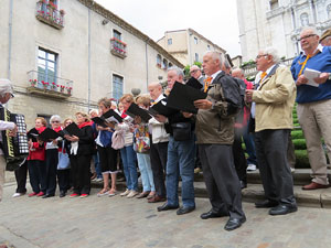 Temps de Flors 2015. M&uacute;sica i Flors. Actuacions musicals a diversos espais