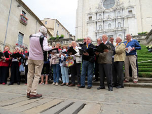 Temps de Flors 2015. M&uacute;sica i Flors. Actuacions musicals a diversos espais