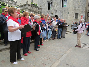 Temps de Flors 2015. M&uacute;sica i Flors. Actuacions musicals a diversos espais