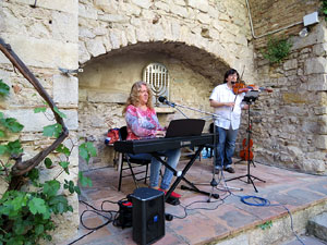 Temps de Flors 2015. M&uacute;sica i Flors. Actuacions musicals a diversos espais