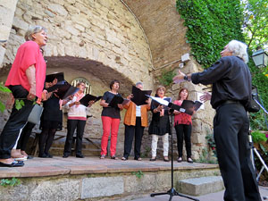 Temps de Flors 2015. M&uacute;sica i Flors. Actuacions musicals a diversos espais