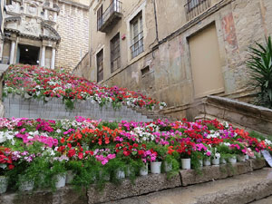 Temps de Flors 2015. Escales de la pujada de Sant Martí