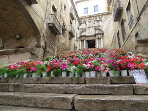 Temps de Flors 2015. Escales de la pujada de Sant Martí