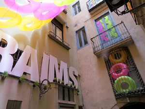 Temps de Flors 2015. La pla&ccedil;a dels Ra&iuml;ms