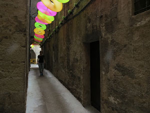 Temps de Flors 2015. La pla&ccedil;a dels Ra&iuml;ms