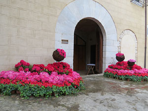 Temps de Flors 2015. Claustre del monestir de Sant Daniel