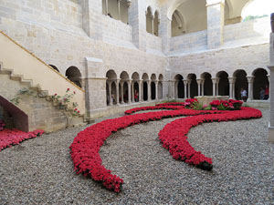 Temps de Flors 2015. Claustre del monestir de Sant Daniel