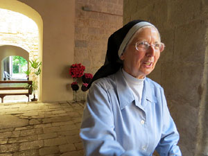 Temps de Flors 2015. Claustre del monestir de Sant Daniel