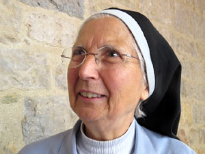 Temps de Flors 2015. Claustre del monestir de Sant Daniel