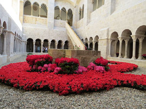 Temps de Flors 2015. Claustre del monestir de Sant Daniel