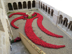 Temps de Flors 2015. Claustre del monestir de Sant Daniel
